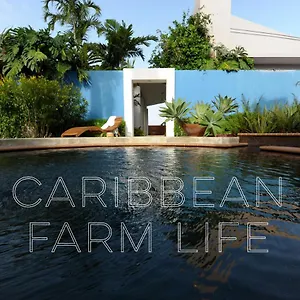 4 Casitas Bed and breakfast Cabo Rojo